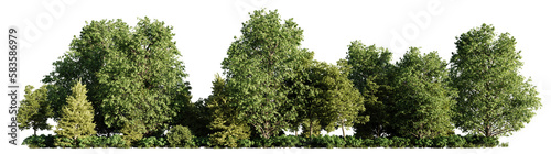 Obraz na płótnie forest landscape, forestscape with green trees and shrubs, isolated on transparent background banner w salonie
