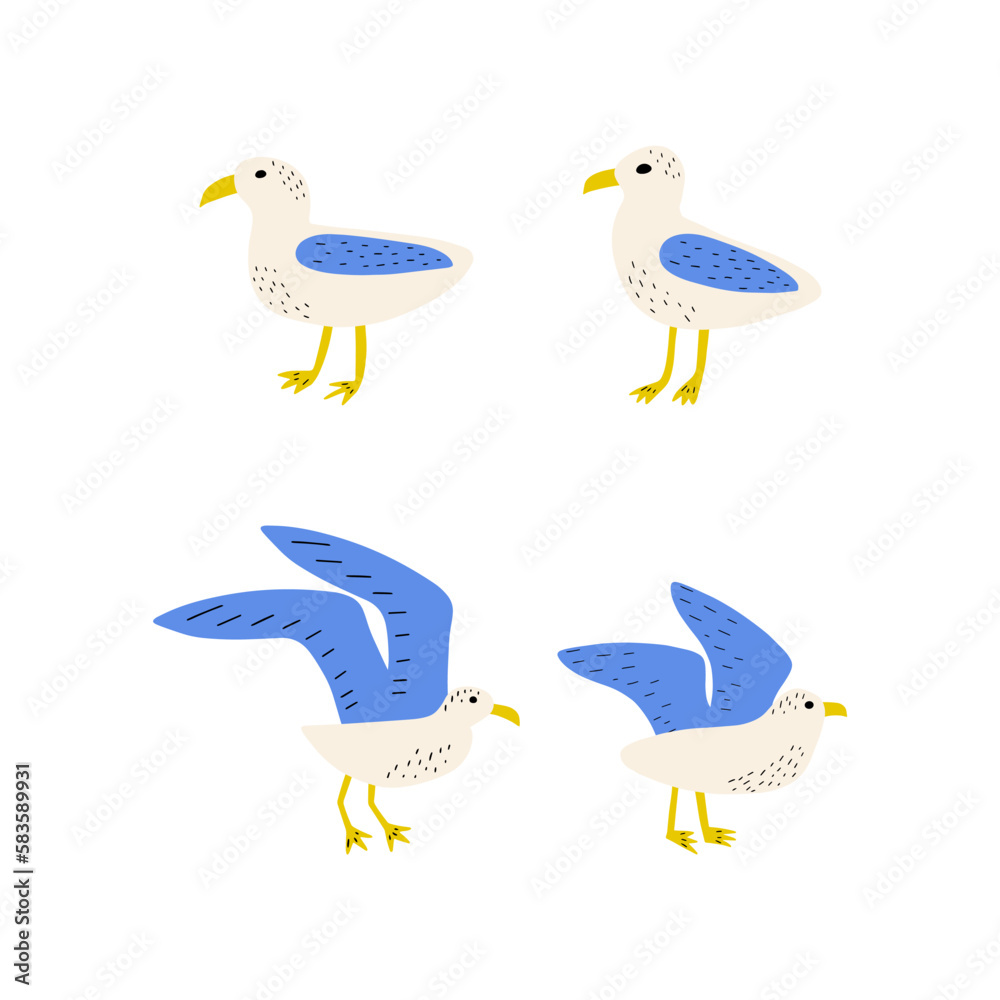 Seagull. Atlantic seabird. Marine Animal Vector illustration on white background. Seagull. Atlantic seabird. Marine Animal Vector illustration on white background.