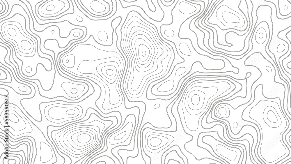 Topographic line contour map background. Geographic mountain contours vector background. Topographic map seamless pattern. White wave paper curved reliefs abstract background. 
