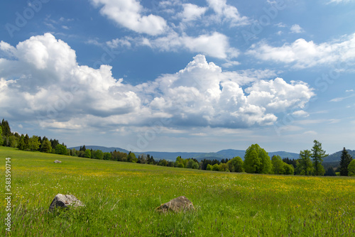 Typicallandscape near Modrava, Nation park Sumava, Czech Republic photo
