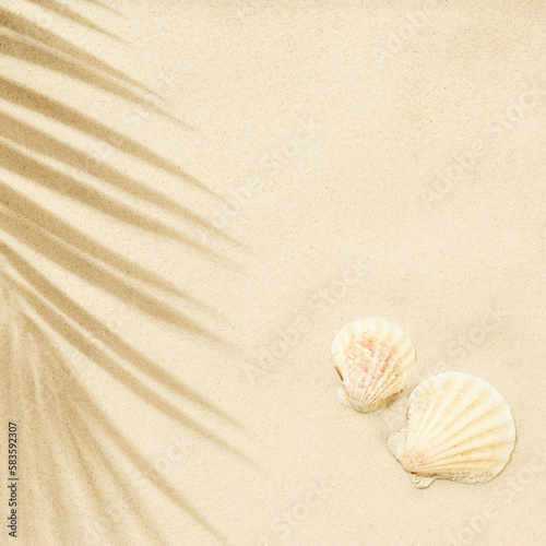 Beach sand with shadow of palm leaf and seashells - background