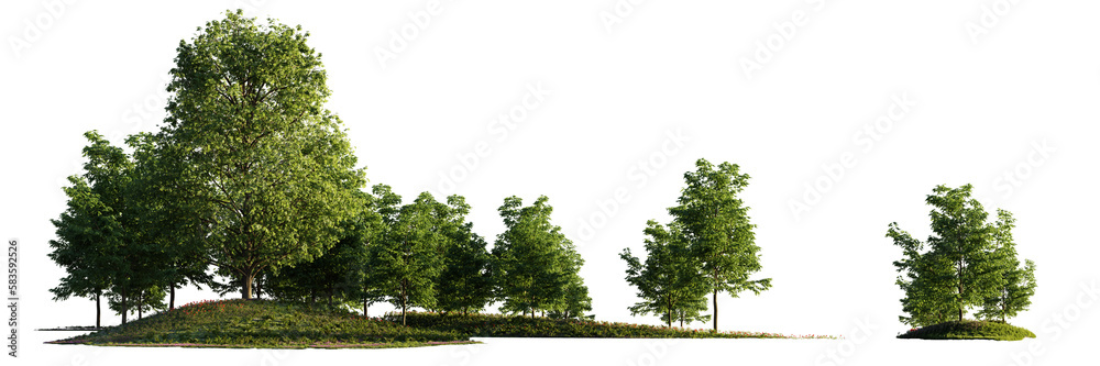 landscape with trees, beautiful small grove isolated on transparent background banner