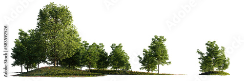 Obraz na płótnie landscape with trees, beautiful small grove isolated on transparent background banner w salonie