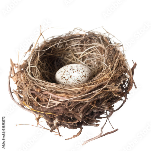 bird nest with one egg , isolated on transparent background cutout , generative ai