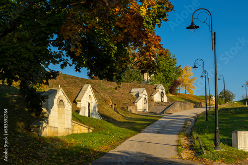 Traditional wine cellars in Tolcsva, Great Plain, North Hungary photo