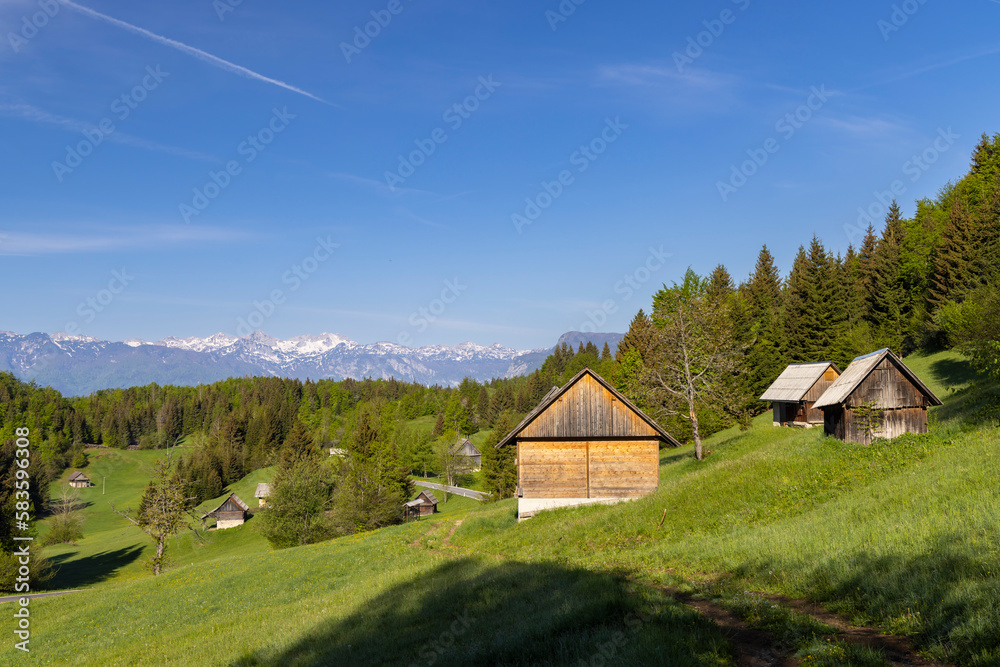 Typical wooden log cabins in Gorjuse, Triglavski national park, Slovenia