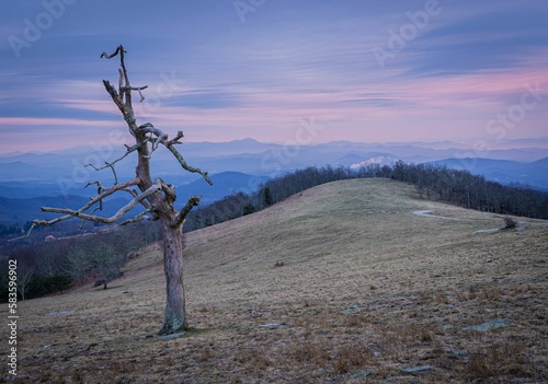 Aerial view of blue Ridge mountain landscape surrounded by dense trees during sunset © Walker Winslow/Wirestock Creators