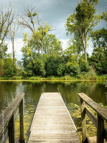 Beautiful shot of wooden pier on lake with water lilies, surrounded by lush greenery in nature park