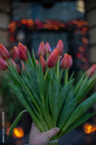 Bouquets of red tulips in hand