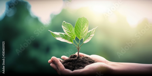 ESG concept: a person holding a large plant against a lush forest backdrop - Gen Fototapeta
