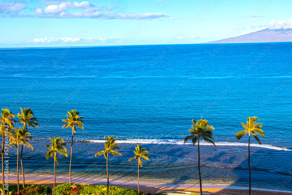 Palm trees, sand and sea, Maui sunrise Palm trees, sand and sea, Maui sunrise
