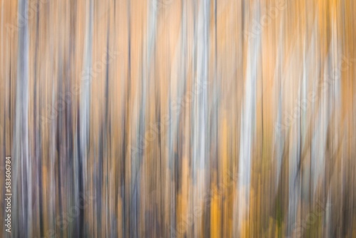 Fototapeta Naklejka Na Ścianę i Meble -  Motion blur of tree trunks in autumn forest - abstract art, fall wallpaper