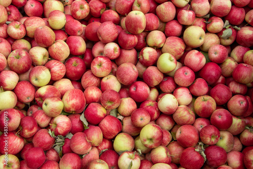 red apples in a market