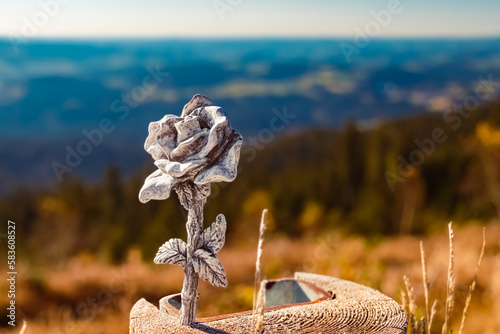 Details of a stone rose at Mount Dreisessel, Neureichenau, Bavarian forest, Bavaria, Germany photo