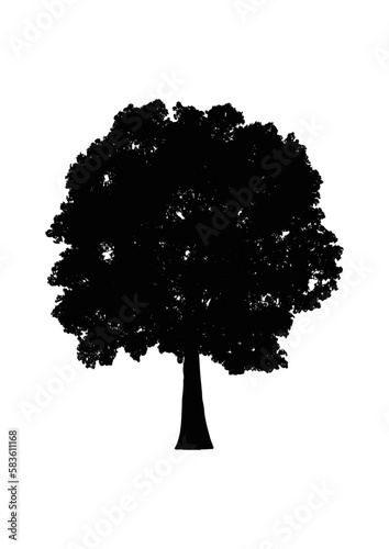 Árvore silhueta vetor preto natureza ambiente folhas plantas eco