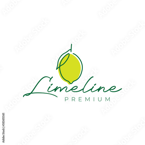 fresh fruit orange lemon green sour taste line art modern feminine logo design vector