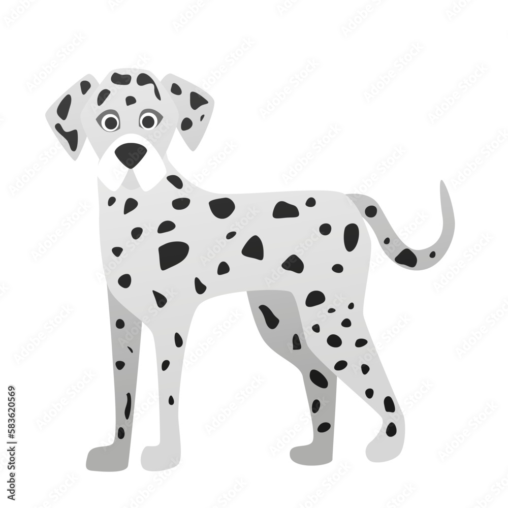 Dalmatian breed dog. Family lovely pet, cute doggie friend vector cartoon illustration