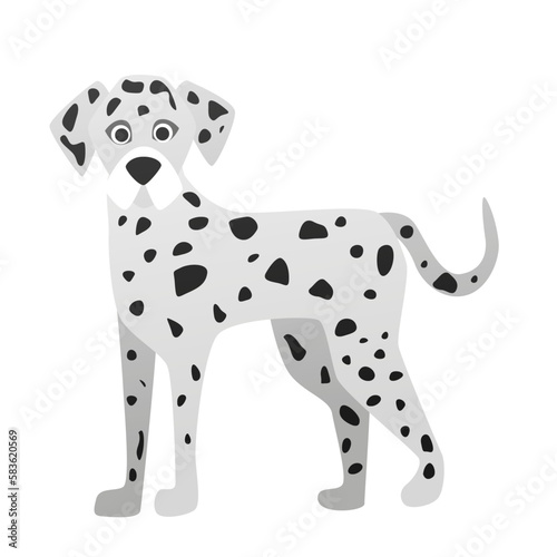Dalmatian breed dog. Family lovely pet  cute doggie friend vector cartoon illustration