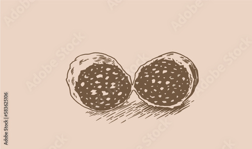 Vector vintage salami sausage on sepia background, butchery product. Meat element for design