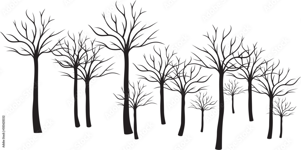 ARBRES EN HIVER