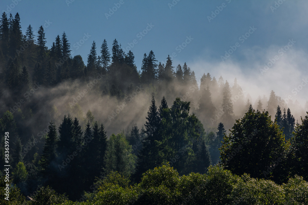 Beautiful summer landscape - mountain valley on a sunrise with fog crawling over the ground
