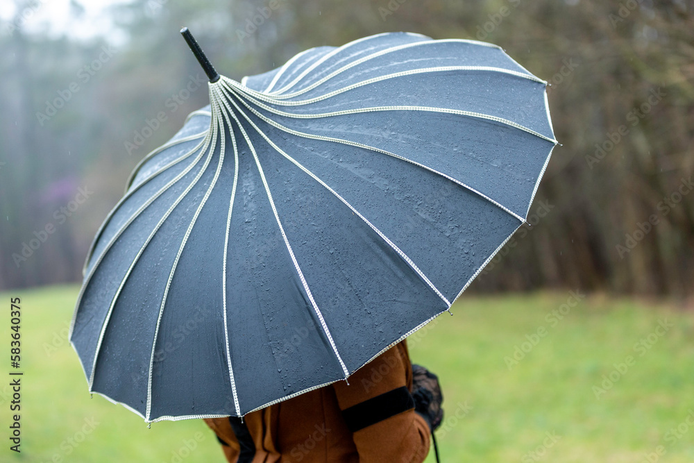 Black Pagoda peak vintage umbrella with white seams - old-fashionable  parasol with water droplets in a grassy wooded area Stock Photo | Adobe  Stock