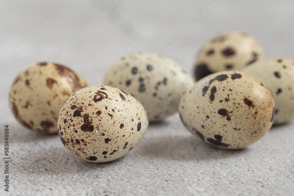 Easter quail eggs. Spring background with small easter quail eggs. Vintage photo processing Easter quail eggs. Spring background with small easter quail eggs. Vintage photo processing