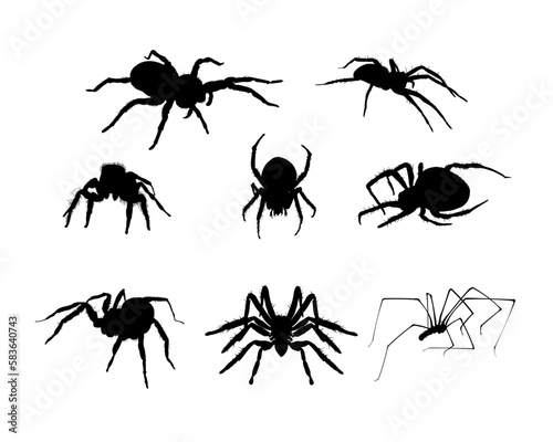 Foto Set of spider silhouette isolated - vector illustration