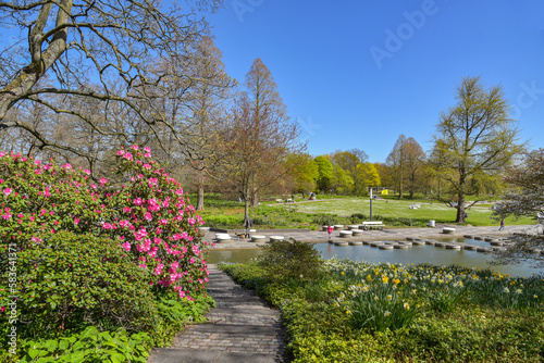 Frühling im Park Planten un Blomen in Hamburg photo