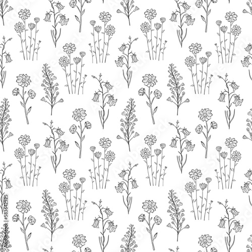 Hand drawn seamless pattern of blooming wildflowers, canterbury bells, chamomile. Floral collection on a white background. Decorative outline illustration for greeting card, wallpaper, wrapping paper