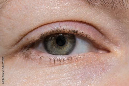 female eye with unpainted eyelashes. close-up.