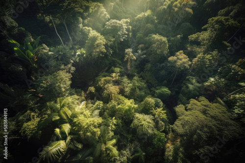 tropical forest created with Generative AI technology