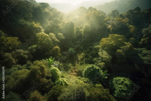 tropical forest created with Generative AI technology