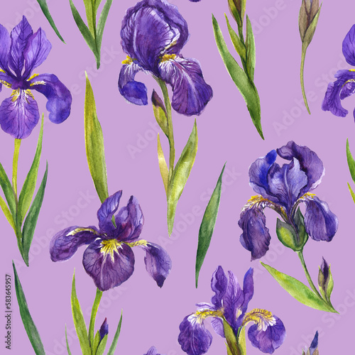 Watercolor irises seamless pattern . Irises flowers  floral pattern  wildflower 