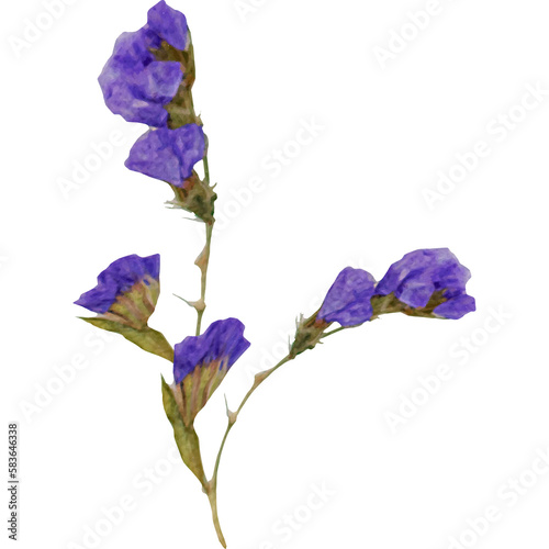 purple flowers isolated on a transparent background. Floral arrangement, bouquet of roses and tulips. Can be used for invitations, greeting, wedding card. 