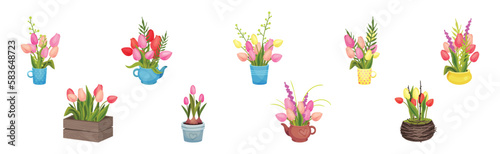 Bouquet of Tulip Flowers in Pot and Crate Vector Set