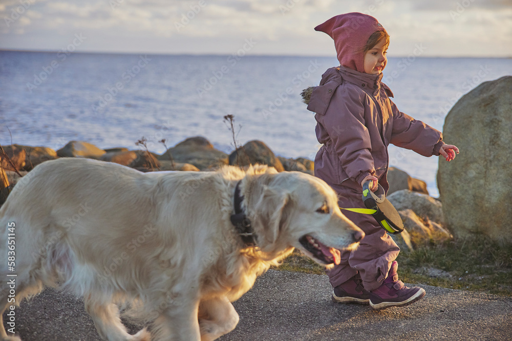 Charming child walking with dog on the seashore in the evening Denmark