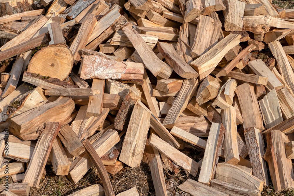 a pile of unsorted firewood. hardwood and softwood. logs in various size and shape. a pile of unsorted firewood. hardwood and softwood. logs in various size and shape.