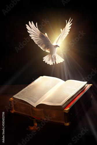 Holy Bible enlightened by the Holy Spirit © oleksandr.info