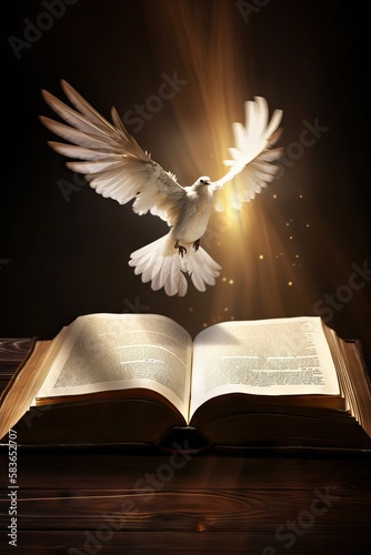 Holy Bible enlightened by the Holy Spirit