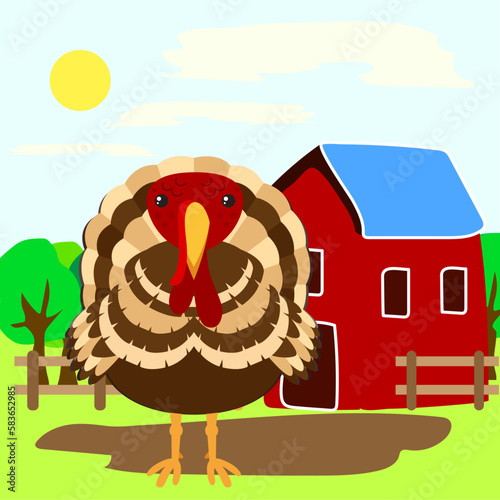 the turkey in the farm