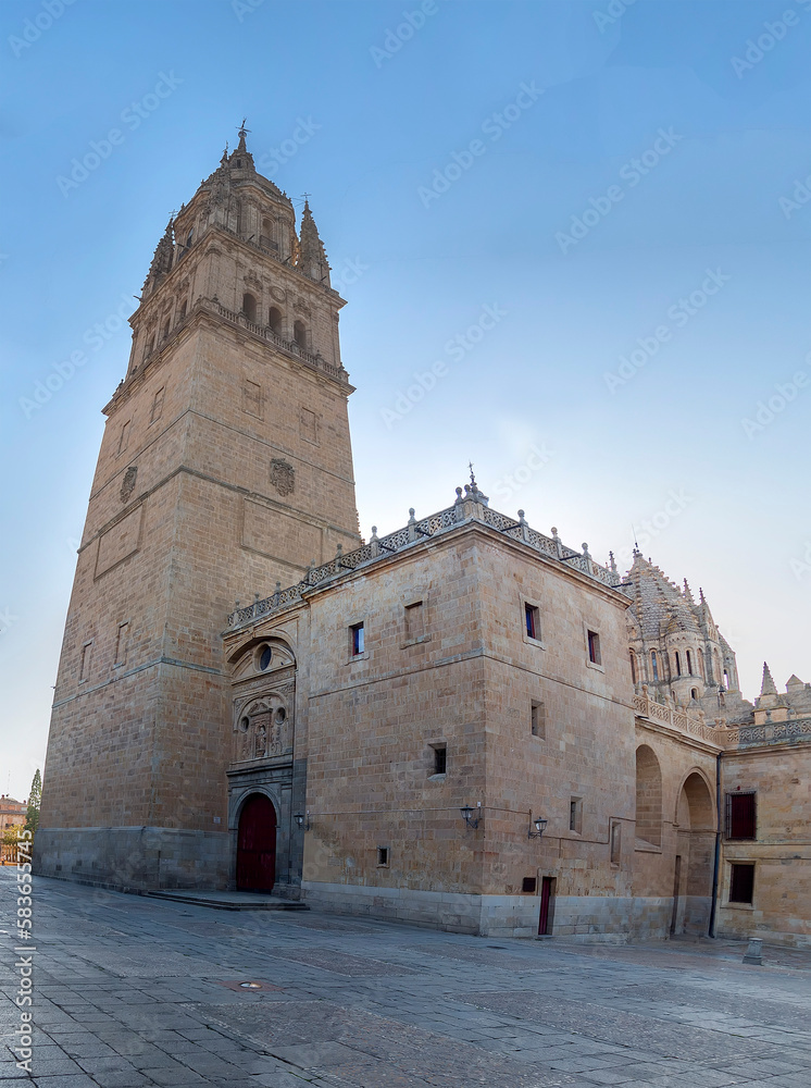 Fototapeta premium Photo detail of part of the Salamanca catedral in Spain