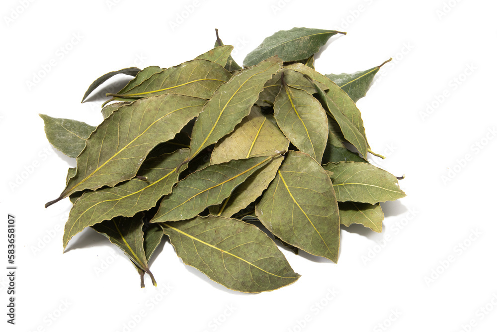 Bay leaves, isolated on a white background. Seasoning concept. Bay leaves, isolated on a white background. Seasoning concept.