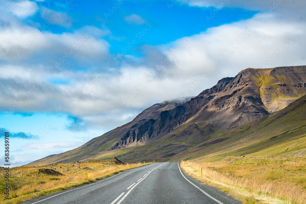 Fototapeta premium Landscape at the ring Road (Iceland)