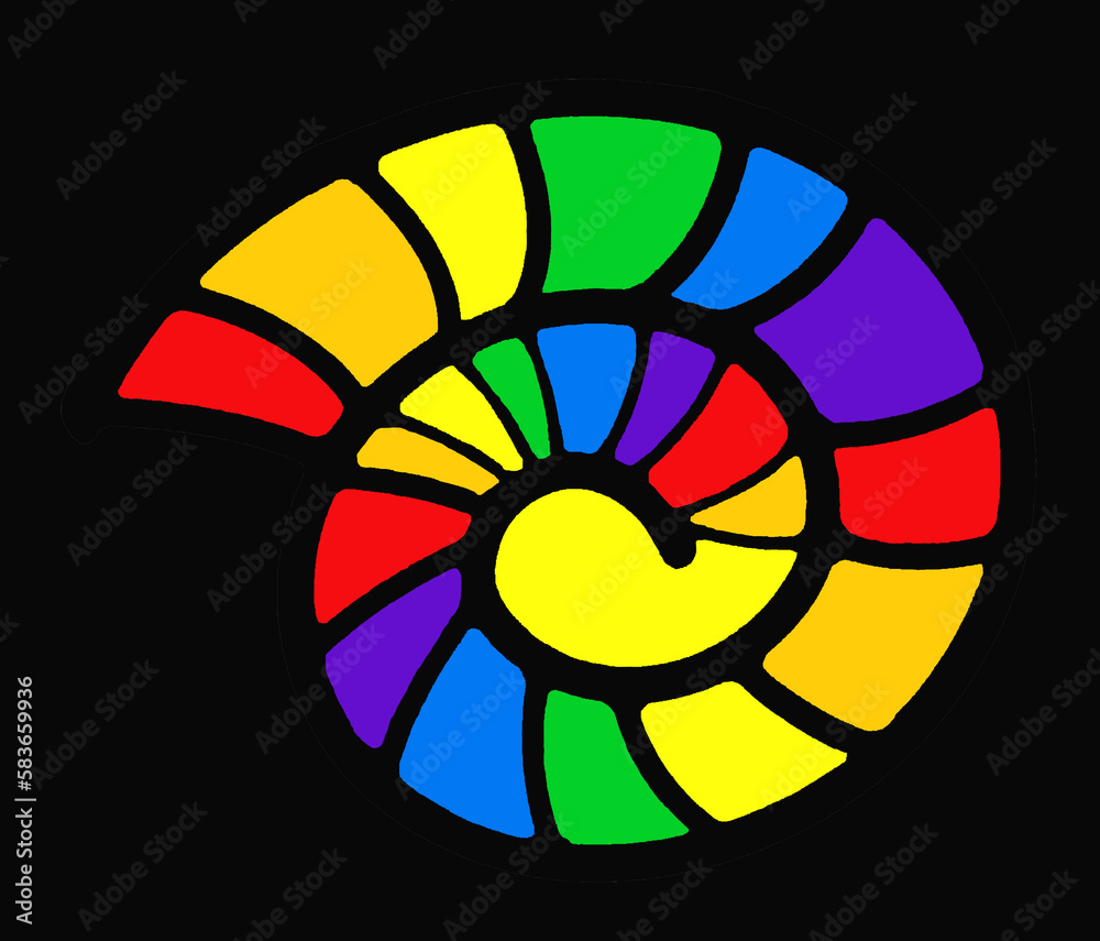 Obraz premium Ammonite