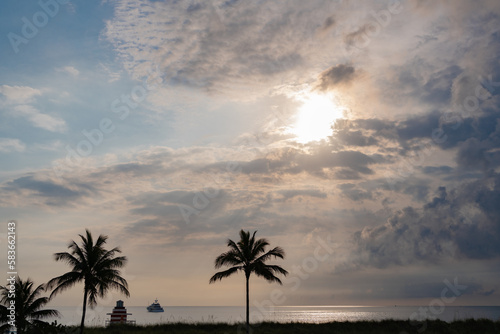 summer sunset with palm trees in miami © be free
