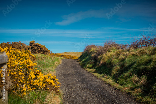 Wiew of path at cliffs and hexagonal stones or pillars at Giants causeway in northern ireland, majestic basalt pillars at the beach on a cloudy day. Wide view of area..