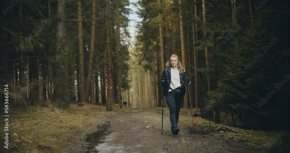 Woman Nordic Walking In Mountains Forest Woman Nordic Walking In Mountains Forest