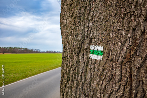 Hiking trail, trail sign, background. Green stripe on white background. Brown tree trunk. Guide sign made of paint. The symbol shows the right way. Forest navigation map. Ortrand-Radeburg-Steinbach