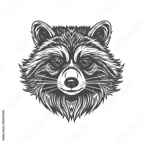 Hand drawn Racoon Head illustration. Vintage woodcut engraving style vector illustration.	